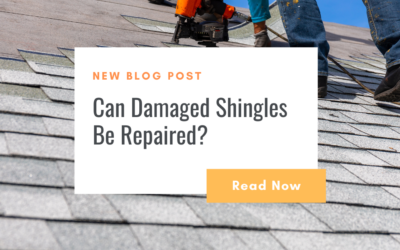 Can Damaged Shingles Be Repaired, or Do You Need a Full Replacement?